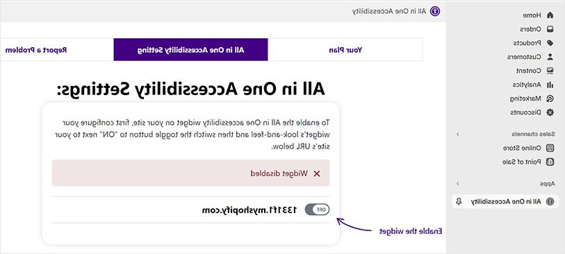 在Shopify上启用All in One无障碍插件